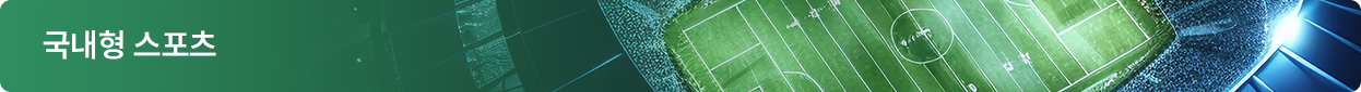 국내형 스포츠